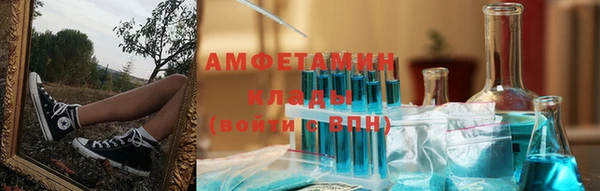 мет Алексин