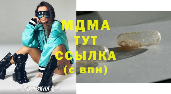 мет Алексин