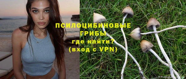 мет Алексин