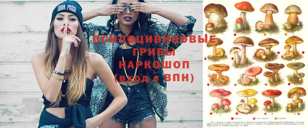 экстази Арсеньев