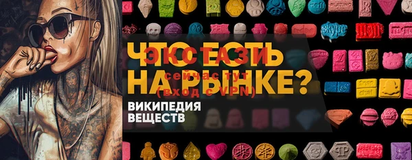 мет Алексин
