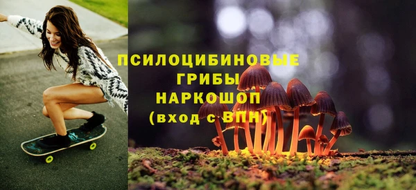 экстази Арсеньев