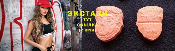 мет Алексин