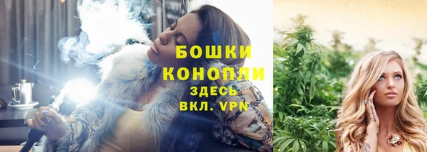 сатива Армянск